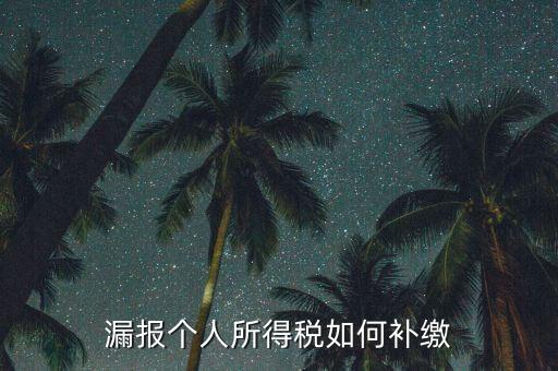 安徽省個(gè)稅如何補(bǔ)充申報(bào)，漏報(bào)個(gè)人所得稅如何補(bǔ)繳