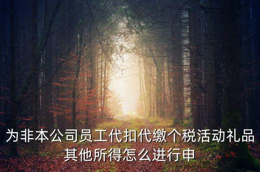 為非本公司員工代扣代繳個稅活動禮品其他所得怎么進(jìn)行申