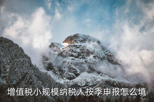小規(guī)模納稅人如何按季申報(bào)，增值稅小規(guī)模納稅人按季申報(bào)怎么填