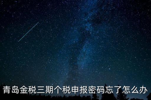 如何重置金三個稅系統(tǒng)申報密碼，青島金稅三期個稅申報密碼忘了怎么辦