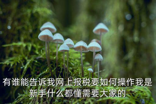 黑龍江如何報稅，黑龍江報稅