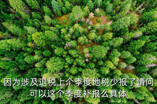 因?yàn)樯婕巴硕惿蟼€(gè)季度地稅少報(bào)了請(qǐng)問可以這個(gè)季度補(bǔ)報(bào)么具體
