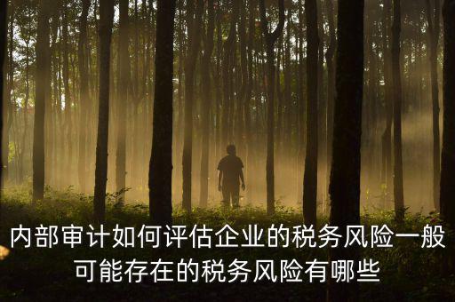 內部審計如何評估企業(yè)的稅務風險一般可能存在的稅務風險有哪些
