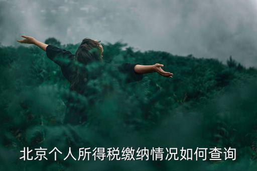 北京地稅個人如何查詢，如何查詢個人所得稅繳稅記錄