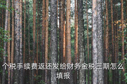 金稅三期獲如何連接稅務(wù)局，金稅三期個(gè)人所得稅扣繳系統(tǒng)怎樣連接地稅