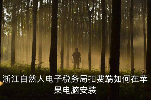 浙江自然人電子稅務局扣費端如何在蘋果電腦安裝