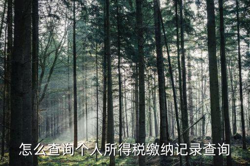 沈陽如何查個(gè)人所得稅繳費(fèi)明細(xì)，如何查詢個(gè)人所得稅申報(bào)明細(xì)情況