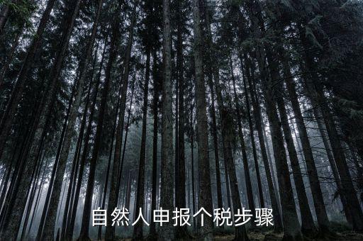 自然人稅收如何申報(bào)表，自然人申報(bào)個(gè)稅步驟