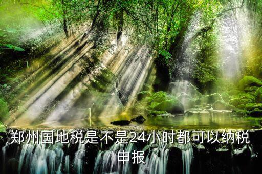 鄭州如何進(jìn)行地稅網(wǎng)上申報(bào)，鄭州國地稅是不是24小時(shí)都可以納稅申報(bào)