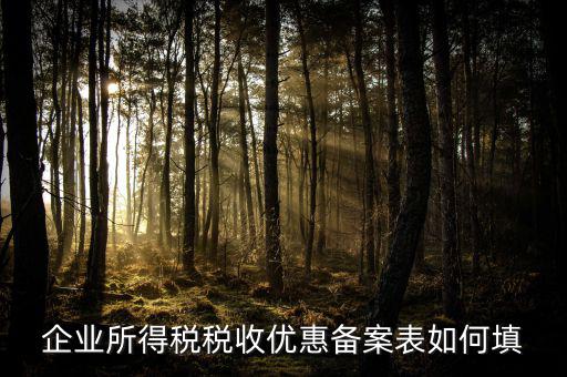 如何填寫企業(yè)所得稅優(yōu)惠事項備案表，企業(yè)所得稅減免稅備案表填寫