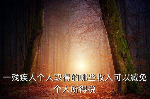 殘疾人減免個稅如何做賬，有殘疾人免稅證明在個人所得稅申報(bào)系統(tǒng)中如何填寫急