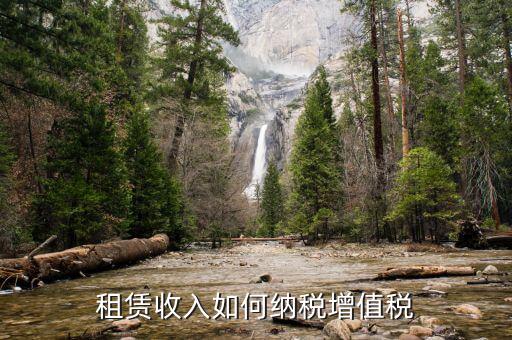 租賃企業(yè)如何納稅，國(guó)家對(duì)租賃行業(yè)的稅收政策是什么啊