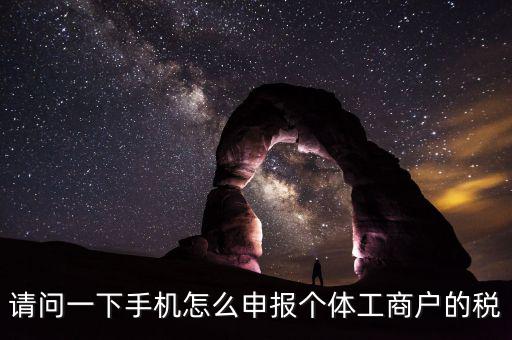 請問一下手機(jī)怎么申報(bào)個(gè)體工商戶的稅