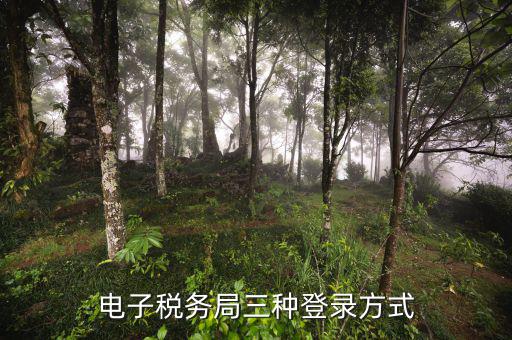 遼寧省網(wǎng)上稅務(wù)局如何登錄，可以用手機(jī)登陸遼寧省電子稅務(wù)局嗎