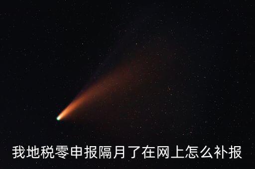 我地稅零申報(bào)隔月了在網(wǎng)上怎么補(bǔ)報(bào)