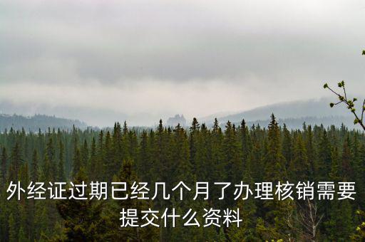 外經(jīng)證過(guò)期已經(jīng)幾個(gè)月了辦理核銷(xiāo)需要提交什么資料