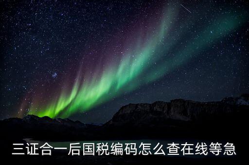 個人稅務(wù)編號如何查，請問在哪里可以查到納稅人編碼