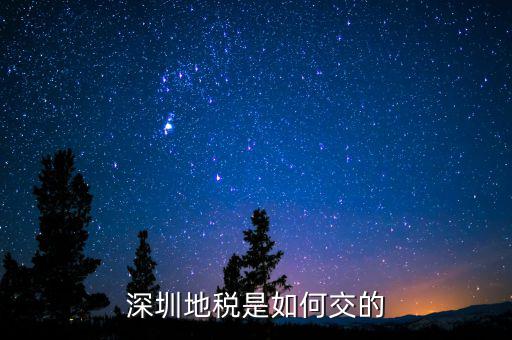 深圳市國家稅務局如何交稅，深圳市公司網(wǎng)上報國稅要這么操作啊