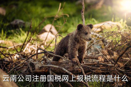 如何進入云南網(wǎng)上稅務(wù)申報系統(tǒng)，如何進行網(wǎng)上稅務(wù)申報