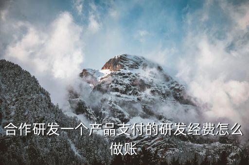 合作研發(fā)一個(gè)產(chǎn)品支付的研發(fā)經(jīng)費(fèi)怎么做賬