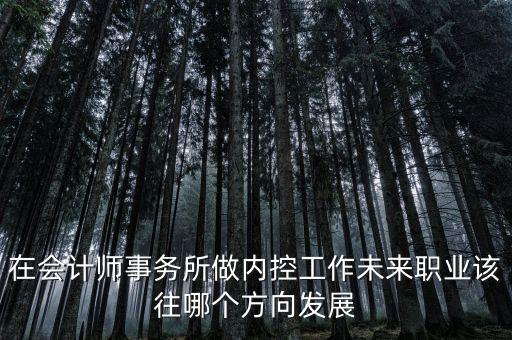 稅務(wù)內(nèi)控工作如何，如何搞好稅務(wù)所管理員內(nèi)控機(jī)制建設(shè)