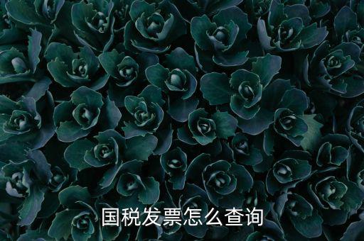 深圳市國稅局郵寄發(fā)票如何查詢，國稅發(fā)票怎么查詢