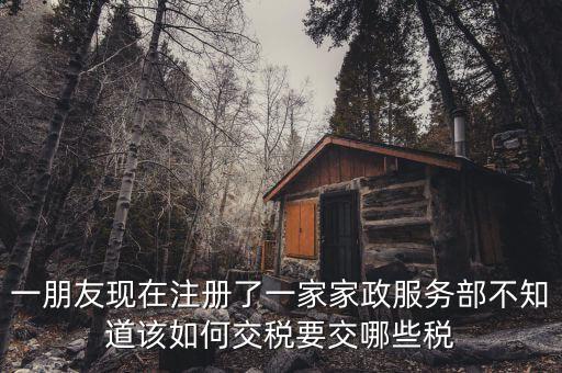 一朋友現(xiàn)在注冊了一家家政服務(wù)部不知道該如何交稅要交哪些稅