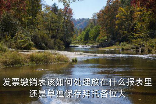 發(fā)票繳銷(xiāo)表該如何處理放在什么報(bào)表里還是單獨(dú)保存拜托各位大