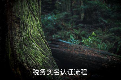 四川省稅務(wù)局如何實(shí)名采集信息，四川網(wǎng)上稅務(wù)局12366掌廳怎么實(shí)名采集掃哪個(gè)二維碼