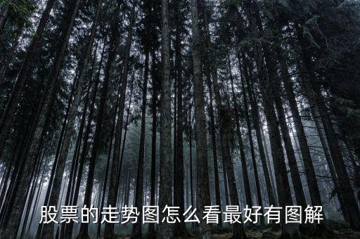  股票的走勢圖怎么看最好有圖解