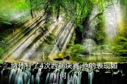 納什怎么樣,一路走來納什的傳奇