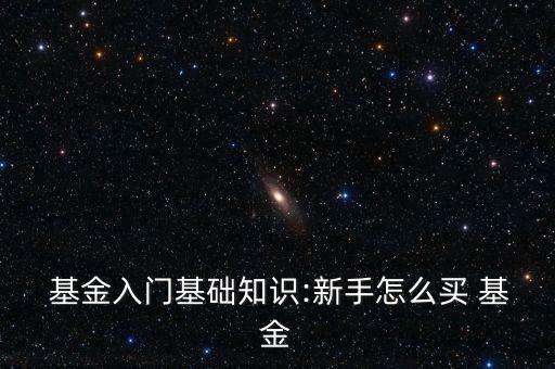  基金入門(mén)基礎(chǔ)知識(shí):新手怎么買(mǎi) 基金