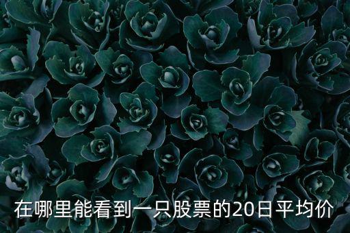 在哪里能看到一只股票的20日平均價