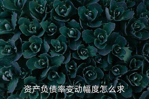 資產(chǎn)負(fù)債率變動(dòng)幅度怎么求