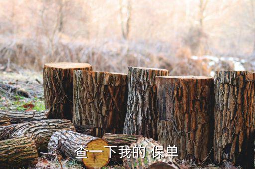我的保單真假怎么查詢,中國銀監(jiān)會-服務-保險機構查詢