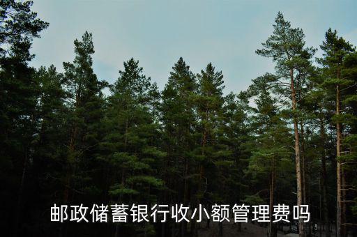  郵政儲(chǔ)蓄銀行收小額管理費(fèi)嗎