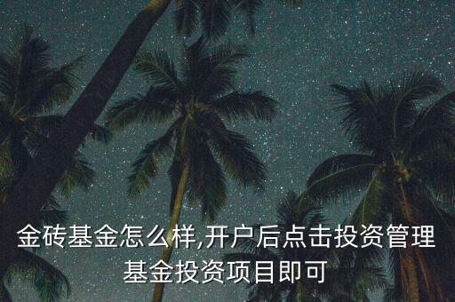 招商金磚基金怎么樣,開(kāi)戶(hù)后點(diǎn)擊投資管理-基金-投資項(xiàng)目即可