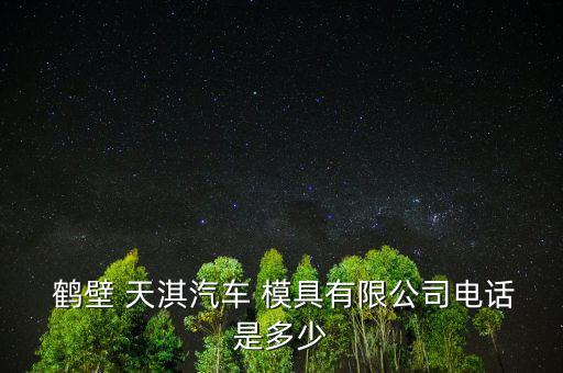  鶴壁 天淇汽車 模具有限公司電話是多少