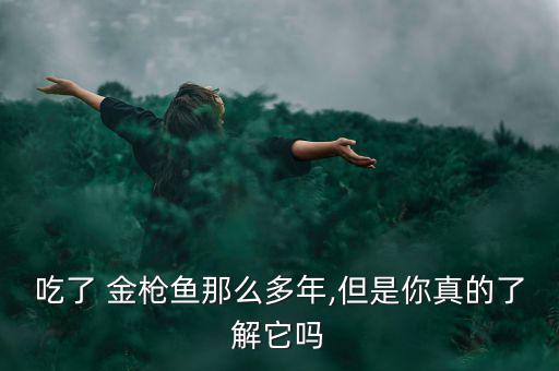 藍(lán)鰭金槍魚(yú)怎么保存,第二集:金槍魚(yú)和銀槍魚(yú)各有千秋