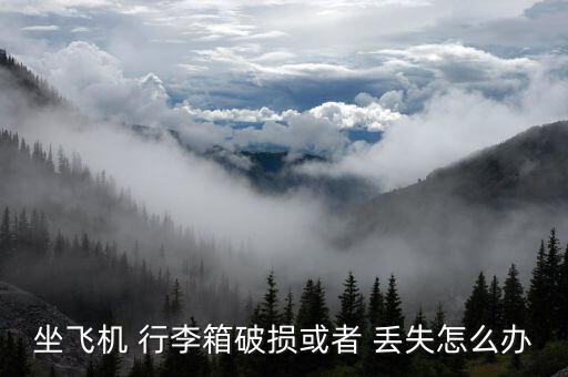 旅客丟失行李怎么辦理,旅客行李若有問題應立即咨詢機場咨詢臺