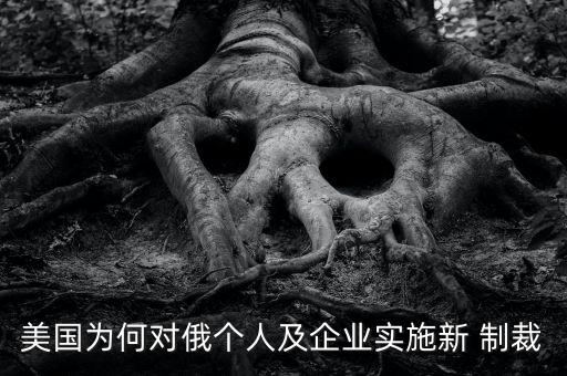 美國(guó)為何對(duì)俄個(gè)人及企業(yè)實(shí)施新 制裁