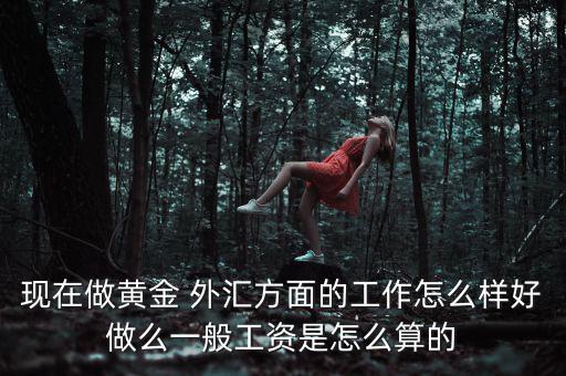 做金融外匯業(yè)務員怎么樣,黃金現在最低平臺5點以下不像外匯