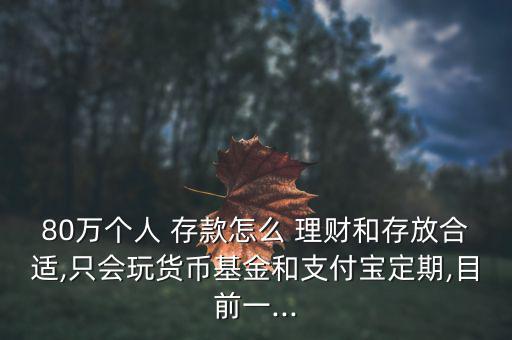 80萬(wàn)存款怎么理財(cái),財(cái)富管理計(jì)劃如何進(jìn)行
