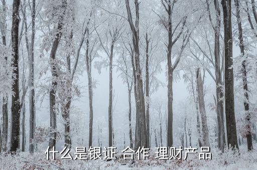 什么是銀證 合作 理財產品