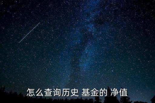 怎么查詢歷史 基金的 凈值