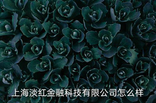 上海淡紅金融科技有限公司怎么樣