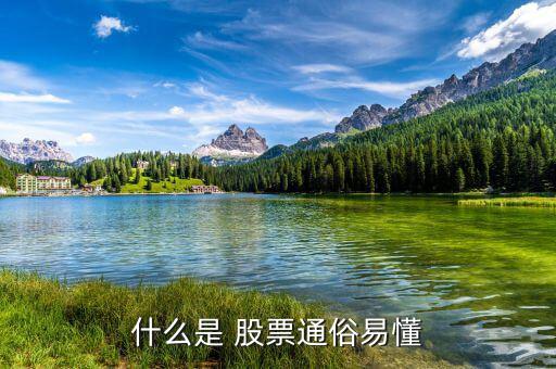怎么懂股票,股票基礎(chǔ)、股票定投、投資書籍等資源免費(fèi)下載