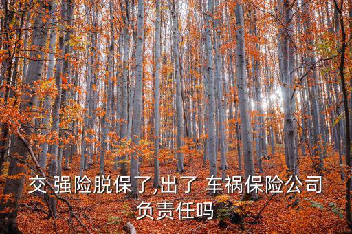 強(qiáng)險脫保后車禍怎么賠付,交通事故若無責(zé)任保險公司不賠償損失