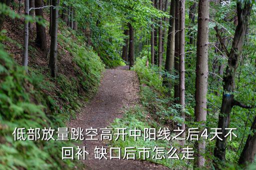 低部放量跳空高開中陽線之后4天不 回補(bǔ) 缺口后市怎么走
