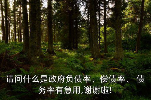 債務(wù)率怎么計(jì)算,隱性債務(wù)有何來(lái)頭?